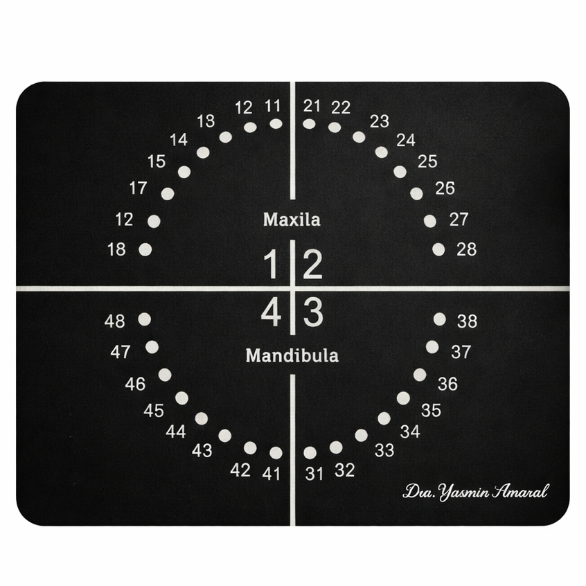 Placa Odontograma Acrílica 11x9,5cm | Guia de Numeração Dental Identificação Odontológica